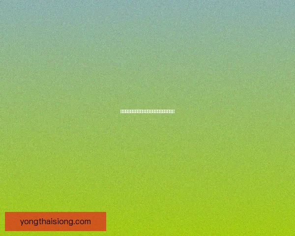 洛克王国时空幻境的探索与隐藏地点揭秘完整指南